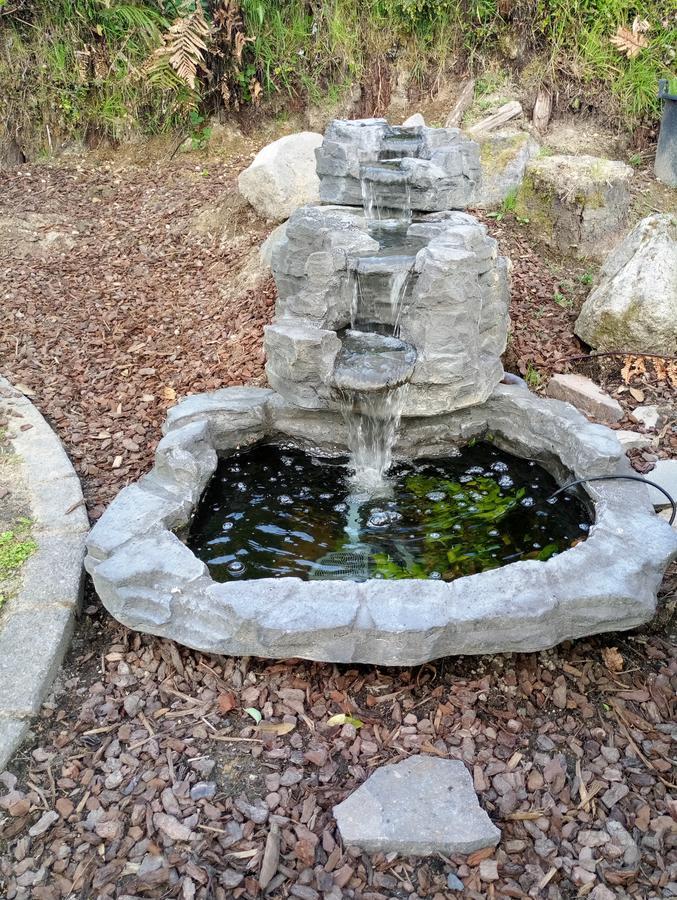 Foodora Lake View Bed & Breakfast Rotorua Luaran gambar